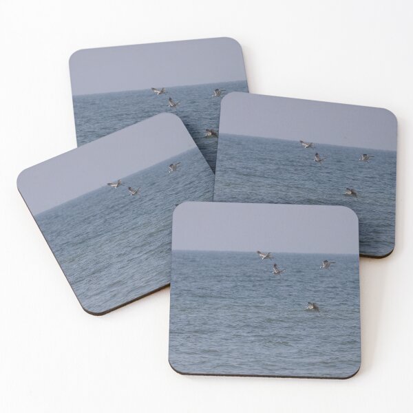 Item preview, Gulls designed and sold by Calidris Fotografie Steffi & Ben Köppler.