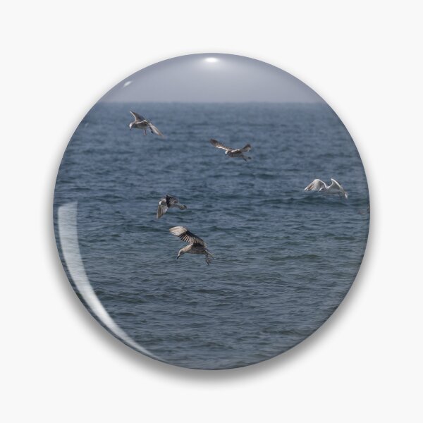 Item preview, Gulls designed and sold by Calidris Fotografie Steffi & Ben Köppler.