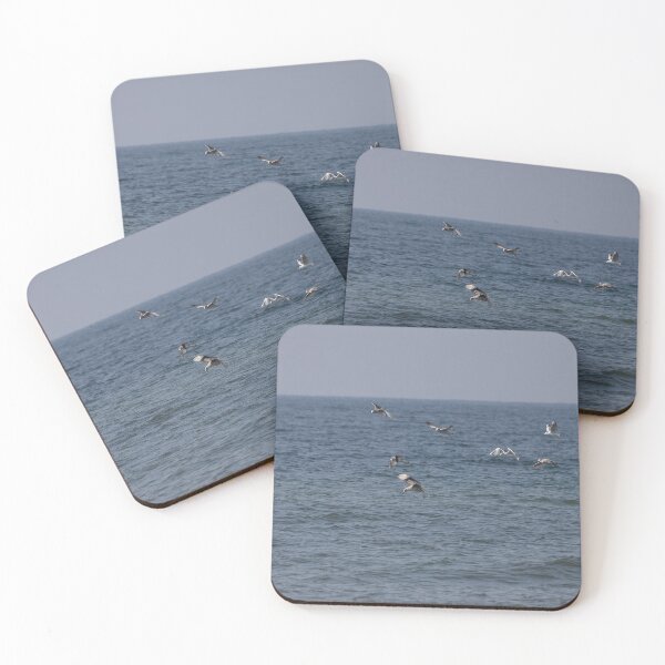 Item preview, Gulls designed and sold by Calidris Fotografie Steffi & Ben Köppler.
