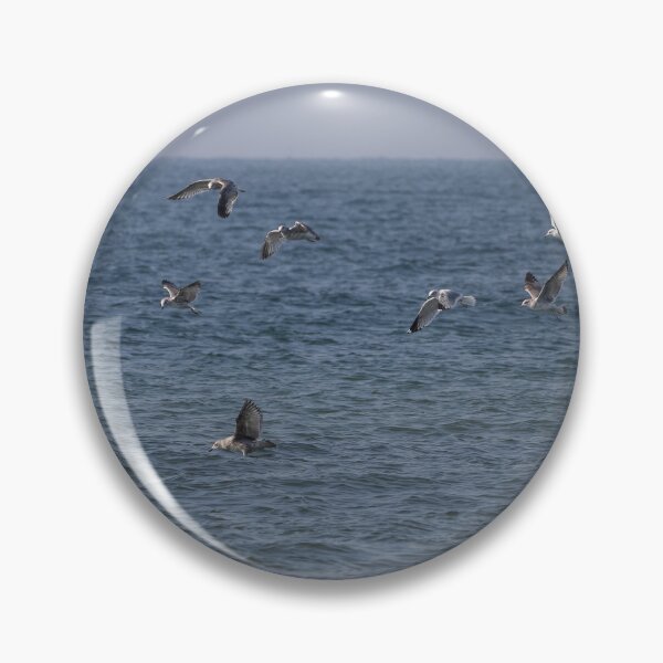 Item preview, Gulls designed and sold by Calidris Fotografie Steffi & Ben Köppler.