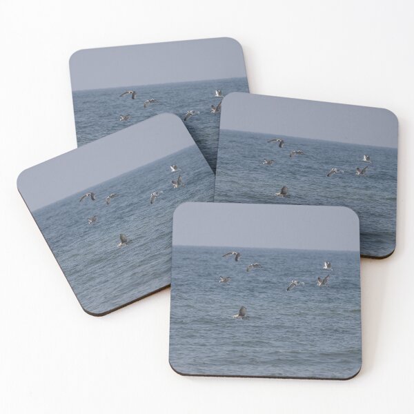 Item preview, Gulls designed and sold by Calidris Fotografie Steffi & Ben Köppler.