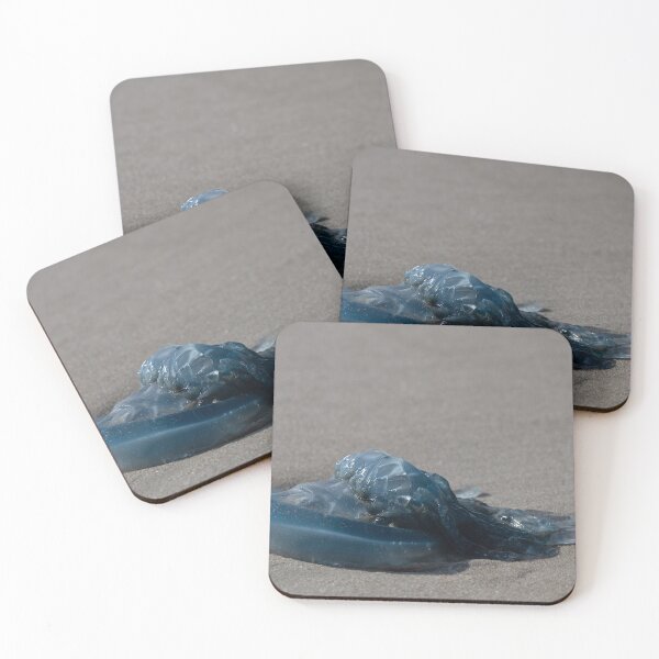 Item preview, Jellyfish designed and sold by Calidris Fotografie Steffi & Ben Köppler.