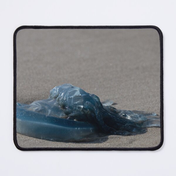 Item preview, Jellyfish designed and sold by Calidris Fotografie Steffi & Ben Köppler.
