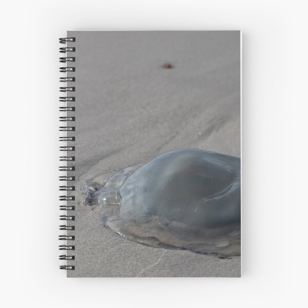 Item preview, Jellyfish designed and sold by Calidris Fotografie Steffi & Ben Köppler.