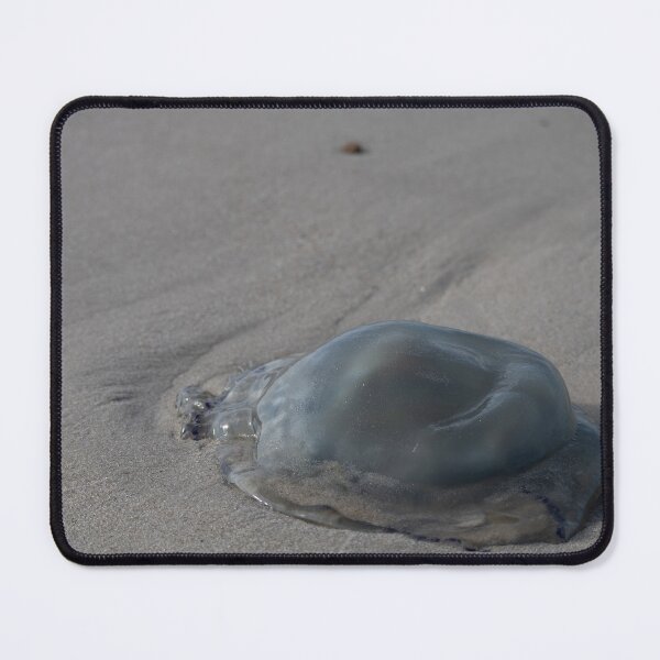 Item preview, Jellyfish designed and sold by Calidris Fotografie Steffi & Ben Köppler.