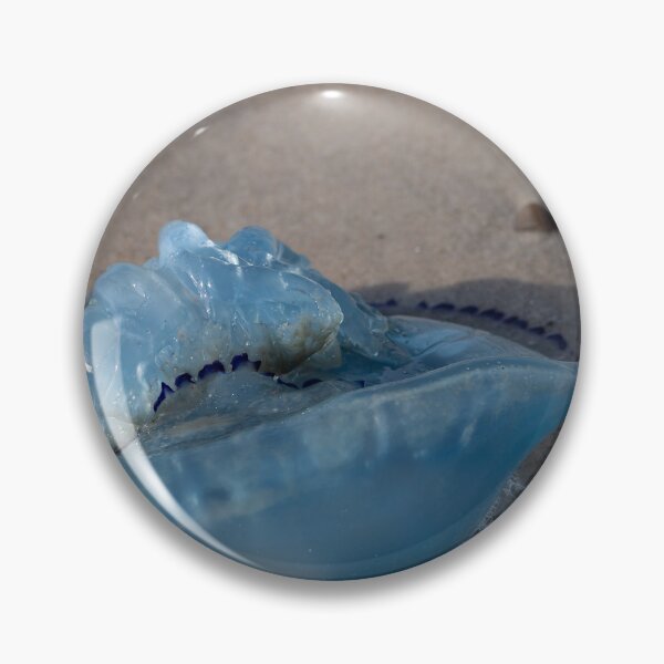 Item preview, Jellyfish designed and sold by Calidris Fotografie Steffi & Ben Köppler.