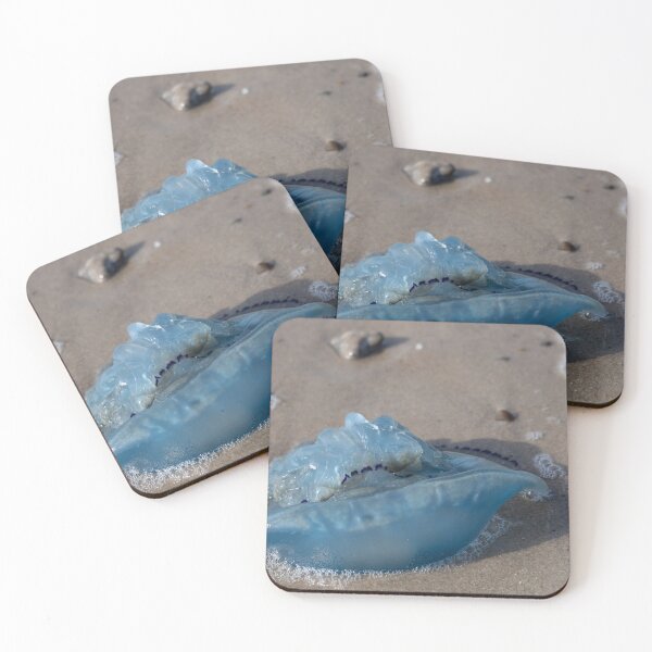 Item preview, Jellyfish designed and sold by Calidris Fotografie Steffi & Ben Köppler.