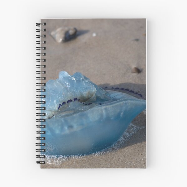 Item preview, Jellyfish designed and sold by Calidris Fotografie Steffi & Ben Köppler.
