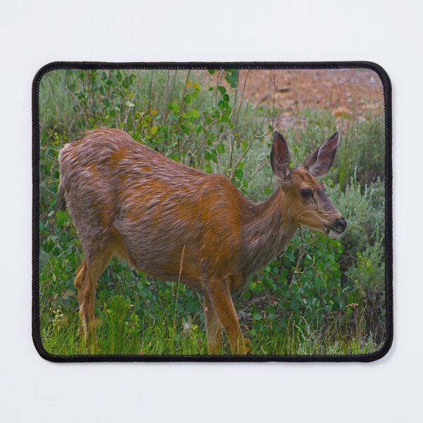 Item preview, Out For a Walk with Ms. Doe designed and sold by KoalaTeaPhotogr.