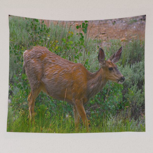 Item preview, Out For a Walk with Ms. Doe designed and sold by KoalaTeaPhotogr.