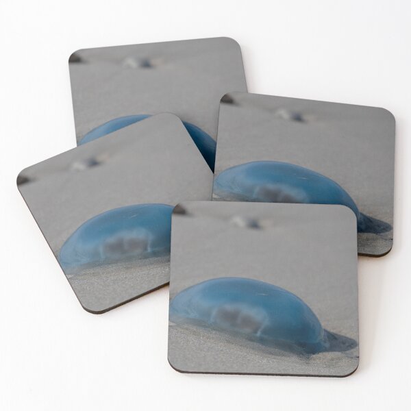 Item preview, Jellyfish designed and sold by Calidris Fotografie Steffi & Ben Köppler.
