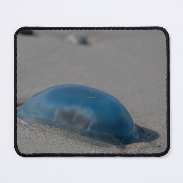 Item preview, Jellyfish designed and sold by Calidris Fotografie Steffi & Ben Köppler.