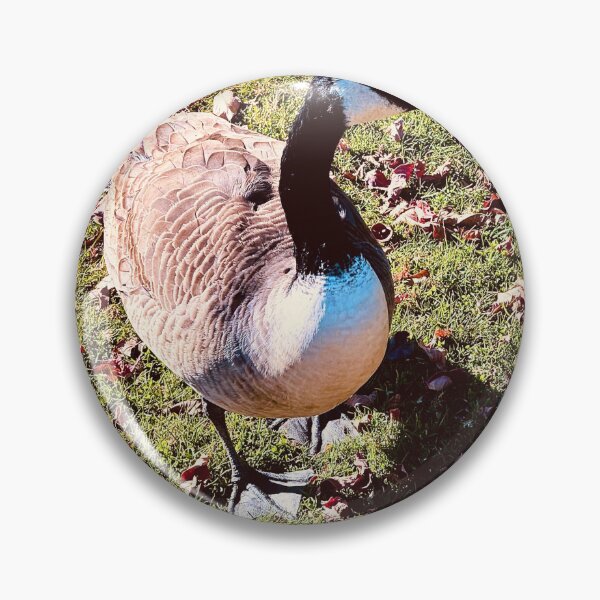 Item preview, A Brent Goose’s Afternoon Stroll designed and sold by South Bay Storyteller .