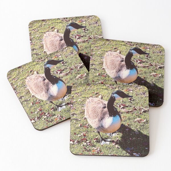 Item preview, A Brent Goose’s Afternoon Stroll designed and sold by South Bay Storyteller .