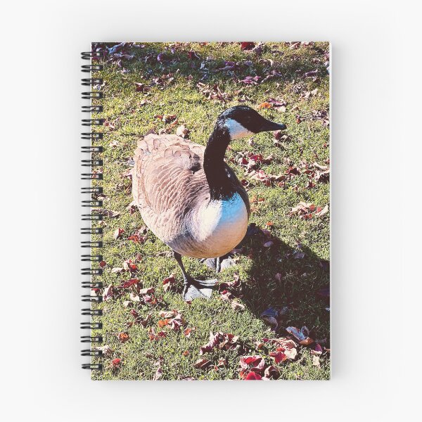 Item preview, A Brent Goose’s Afternoon Stroll designed and sold by South Bay Storyteller .