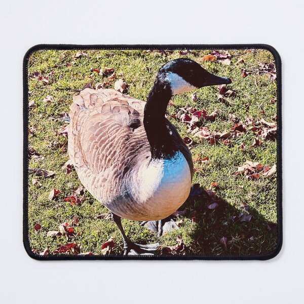 Item preview, A Brent Goose’s Afternoon Stroll designed and sold by South Bay Storyteller .