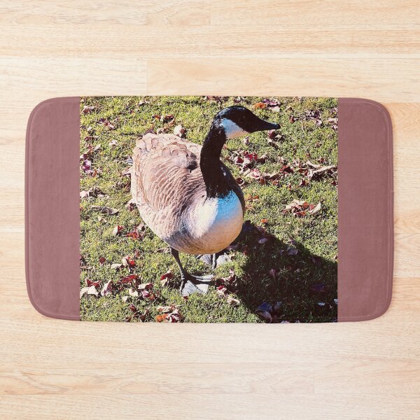 Item preview, A Brent Goose’s Afternoon Stroll designed and sold by South Bay Storyteller .