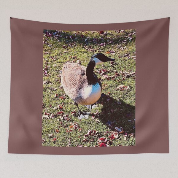 Item preview, A Brent Goose’s Afternoon Stroll designed and sold by South Bay Storyteller .