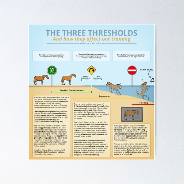 Item preview, The Three Thresholds - and how they affect our training designed and sold by Janneke Koekhoven.