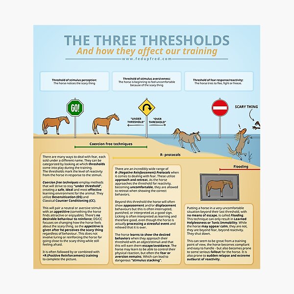 Item preview, The Three Thresholds - and how they affect our training designed and sold by Janneke Koekhoven.