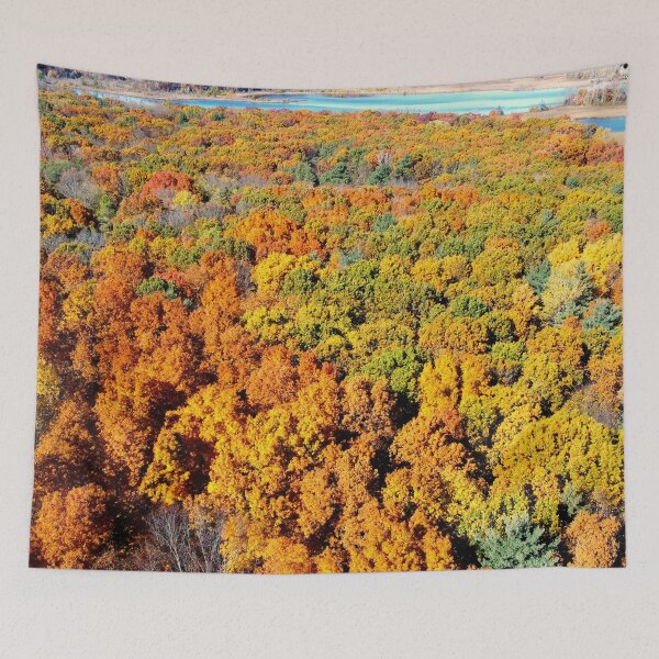 Item preview, Drone Fall Forest designed and sold by bjtomiko.