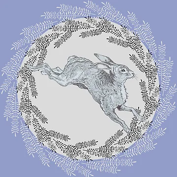 Artwork thumbnail, Leaping Rabbit by TurquoiseBird