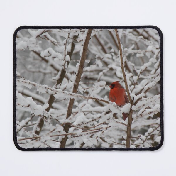 Item preview, Winter Cardinal designed and sold by Lsteuart.