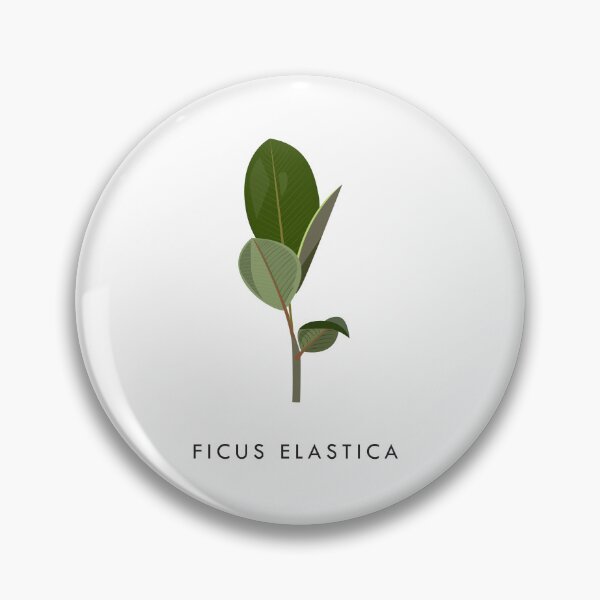 Item preview, Rubber Plant designed and sold by By Maisha.