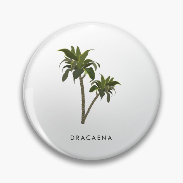 Item preview, Dracaena Plant designed and sold by By Maisha.