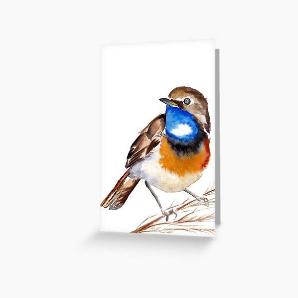 Artikel-Vorschau von Blaukehlchen Aquarell, designt und verkauft von EwieEnte.