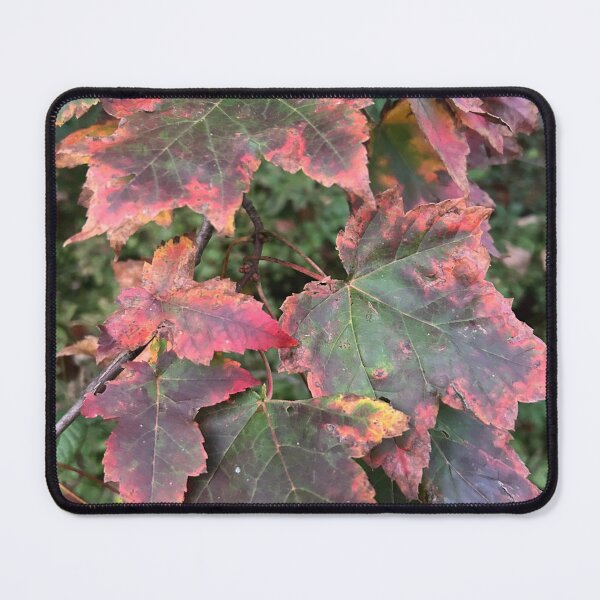 Item preview, Fall leaves designed and sold by Lauracolleen3.