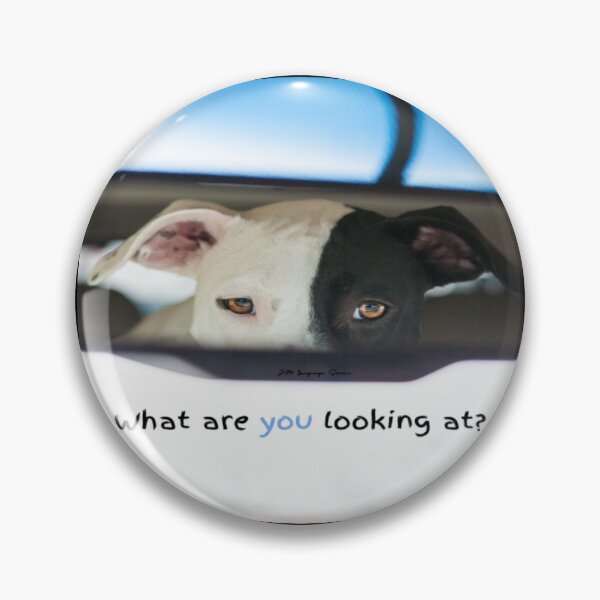 Item preview, JM's thoughts at this moment #302-What are you looking at? designed and sold by JM Language Service.