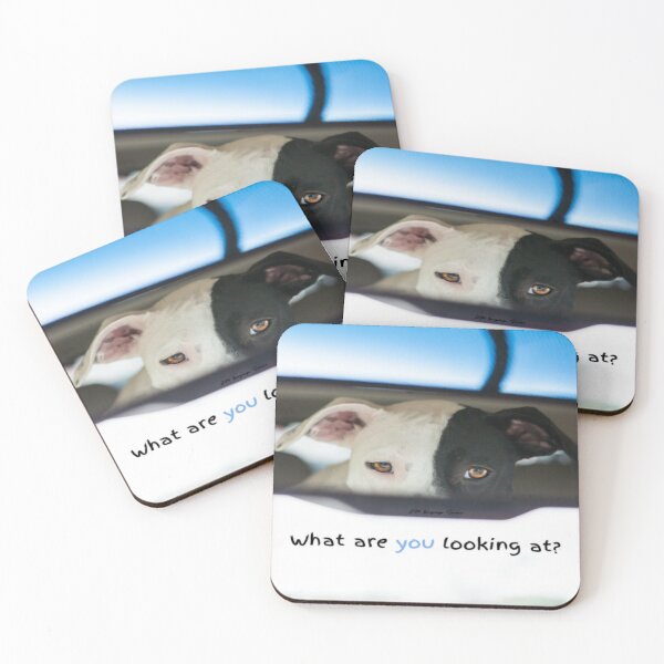 Item preview, JM's thoughts at this moment #302-What are you looking at? designed and sold by JM Language Service.