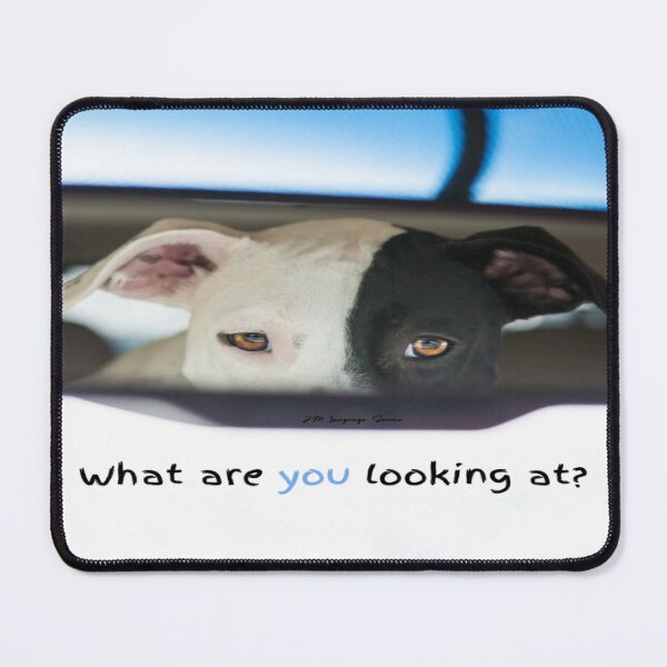 Item preview, JM's thoughts at this moment #302-What are you looking at? designed and sold by JM Language Service.