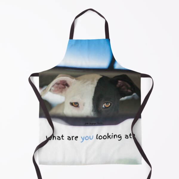 Item preview, JM's thoughts at this moment #302-What are you looking at? designed and sold by JM Language Service.