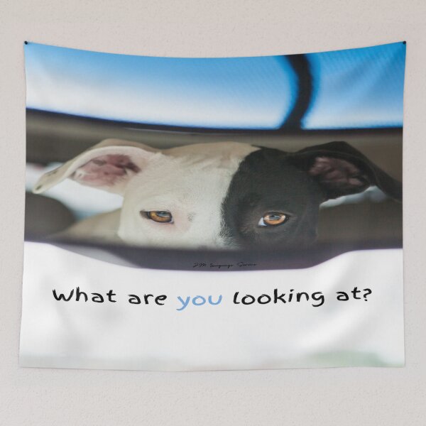Item preview, JM's thoughts at this moment #302-What are you looking at? designed and sold by JM Language Service.