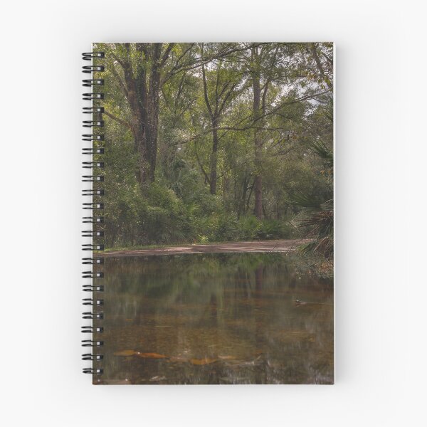 Item preview, A serene forest scene showcases the New Tampa Nature Park the water reflecting the lush greenery of the surrounding tree designed and sold by EyezWatchin.