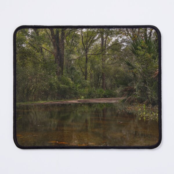 Item preview, A serene forest scene showcases the New Tampa Nature Park the water reflecting the lush greenery of the surrounding tree designed and sold by EyezWatchin.