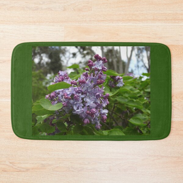 Item preview, Syringa Vulgaris or Common Lilac designed and sold by Claire L Page Photography.