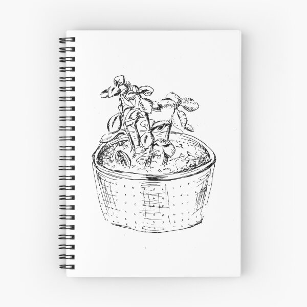 Item preview, Jade Plant (Crassula ovata) designed and sold by JenJoiner.