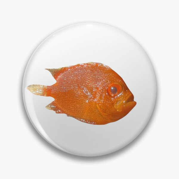 Item preview, Short bigeye designed and sold by crabfriedrice.