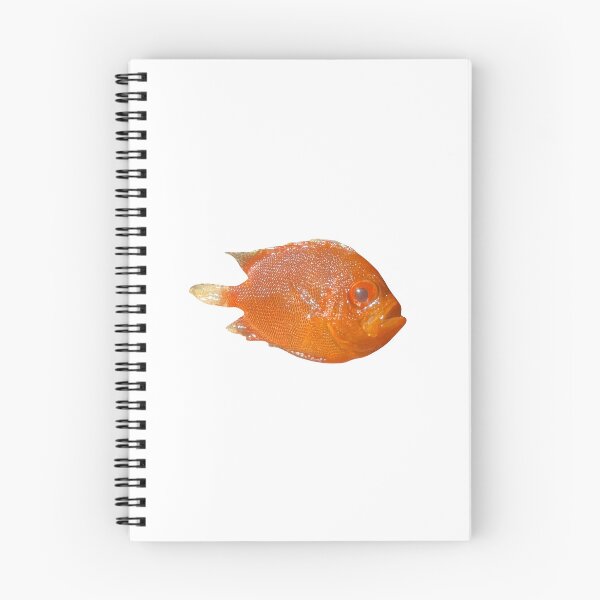 Item preview, Short bigeye designed and sold by crabfriedrice.