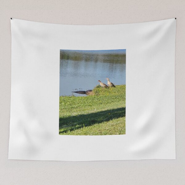 Item preview, Duck vs Alligator  designed and sold by Redfiredragon.