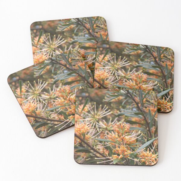 Item preview, Grevillea olivacea 'Apricot Glow' flowers designed and sold by Claire L Page Photography.