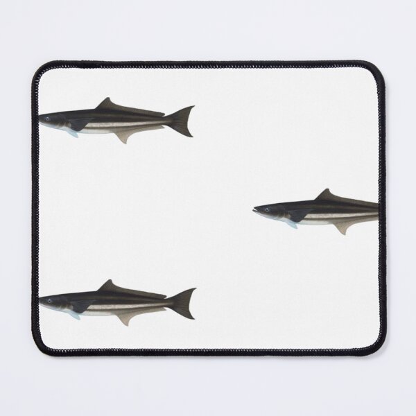 Item preview, Cobia Black Kingfish designed and sold by Reelyfishing.