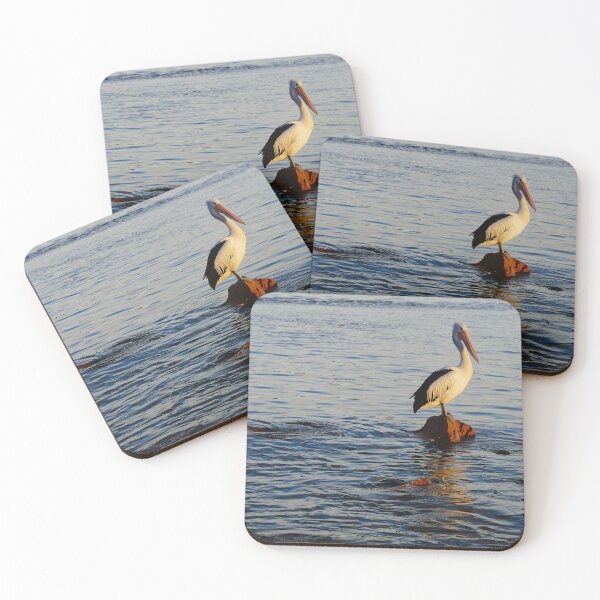 Item preview, Pelican's Roosting  designed and sold by D-GaP.