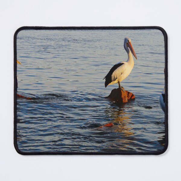 Item preview, Pelican's Roosting  designed and sold by D-GaP.