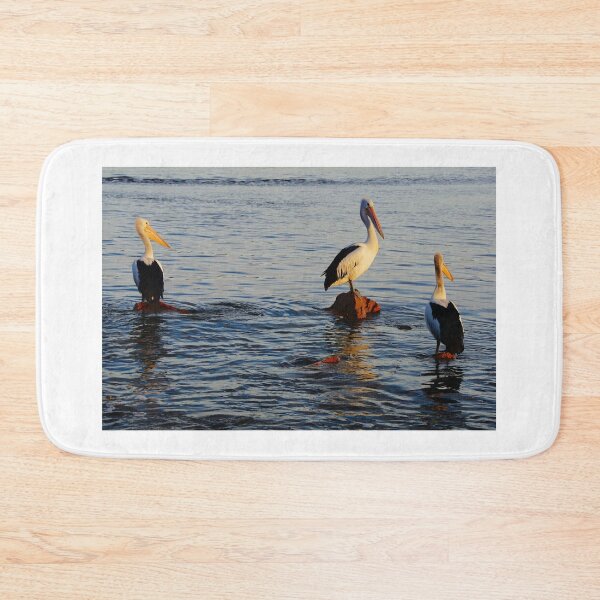 Item preview, Pelican's Roosting  designed and sold by D-GaP.