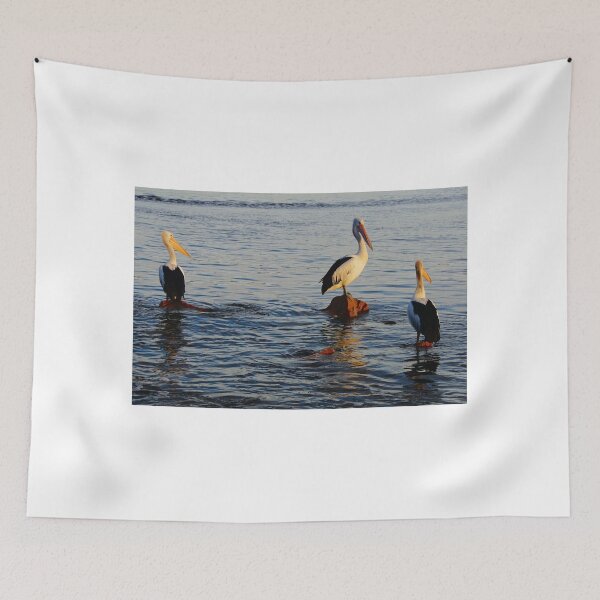 Item preview, Pelican's Roosting  designed and sold by D-GaP.