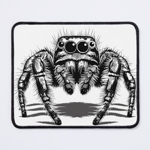 Item preview, Jump little spider designed and sold by Foxlindesigns.